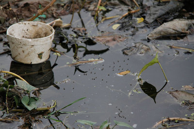 Hallan más de 23 mil criaderos del Aedes esta semana en Asunción y Central