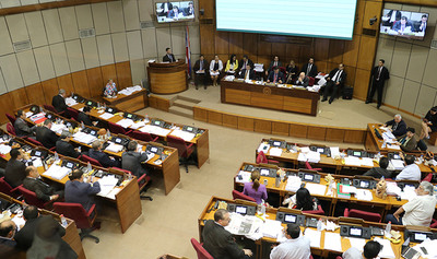 Declaración del Senado como provida fue "motivada por el oportunismo"
