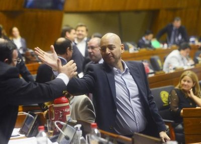 Pedro Alliana regresó a la Cámara de Diputados