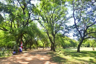 Botánico: Juzgado exige fianza por perjuicios por amparo judicial