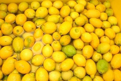 30 alimentos que limpian tu hígado y tu cuerpo
