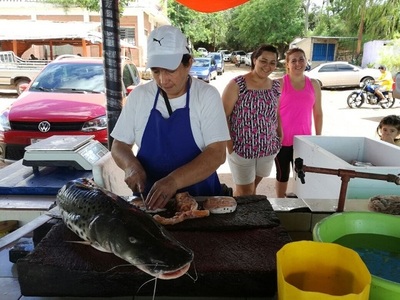 SENACSA confirma que no existe restricción para consumo de pescado