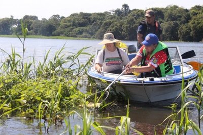 Destacan iniciativa de municipios para el retiro de peces muertos del río