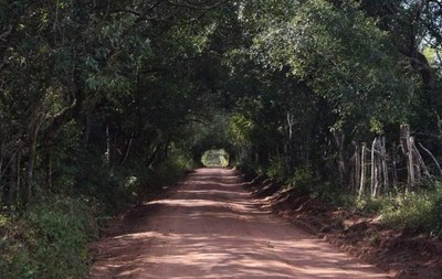 Semana Santa: No olvides de visitar el túnel verde de San Patricio