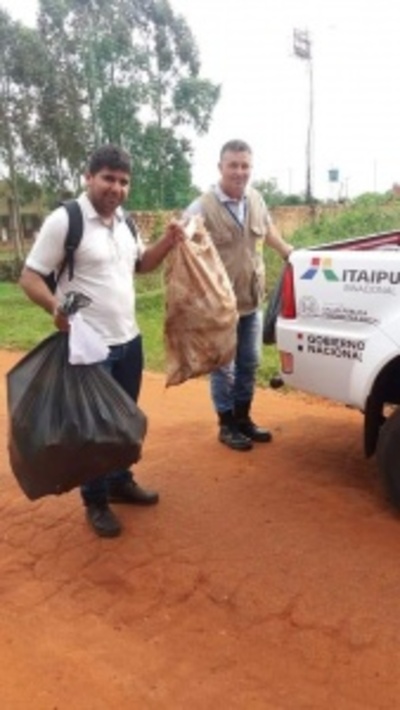 “Pará