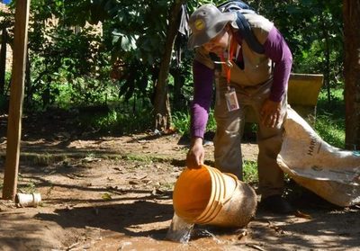 Unos 45.000 criaderos fueron eliminados en campaña antidengue en Alto Paraná » Ñanduti