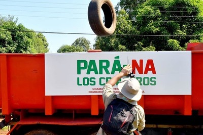 Eliminan cerca de 45.000 criaderos en Alto Paraná