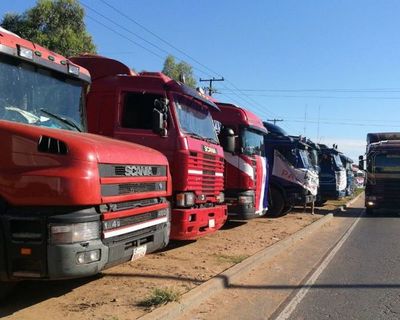 Transportistas de ganado preocupados por posible impuestazo