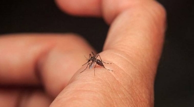 Dengue sigue matando y la clave para evitar que avance no es aplicada por muchos