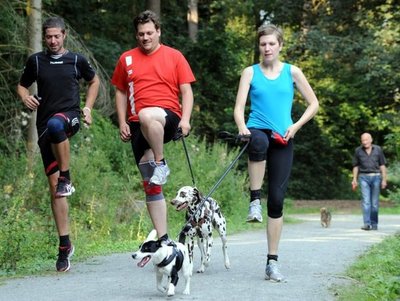 Vivir con un perro es más saludable, revela estudio