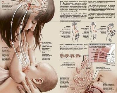 El programa “Misiones en favor de la lactancia materna”