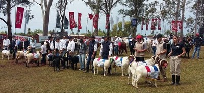 Hoy arranca la Expo Misiones