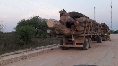 Pasará 6 años en la cárcel por tráfico de rollos de madera