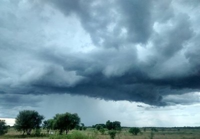 Meteorología anuncia un lunes cálido y con lluvias.