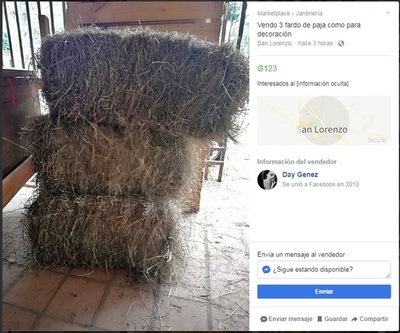Cosas raras que la gente vende en Marketplace