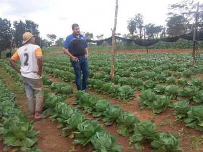 Productores reciben asistencia técnica del MAG en Concepción