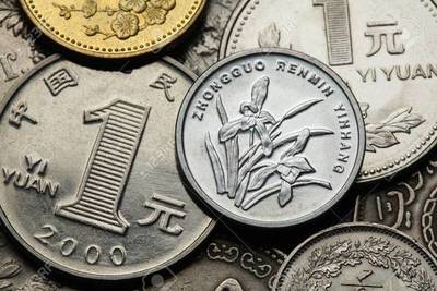 Mujer china compra un auto con monedas