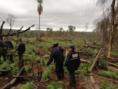 Por segunda vez intervienen en el Parque Nacional de Caazapá