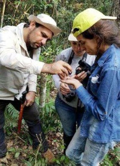 Banco de conservación genética forestal