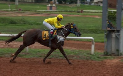 El premio Paz del Chaco es la atracción principal del turf