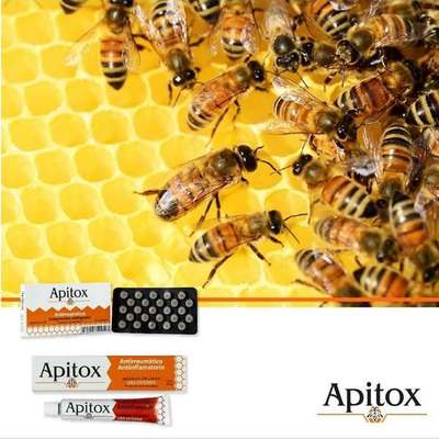 Apitox, el medicamento homeopático, natural, elaborado con veneno de abeja