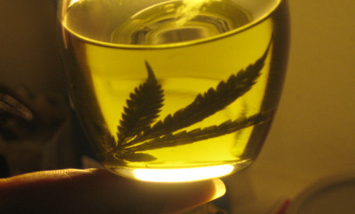 "El aceite de cannabis le ayudó y sigue ayudando a mi mamá", confiesa concejal