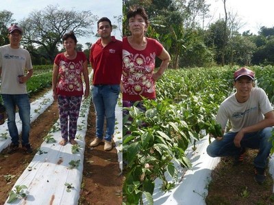 Resaltan figura de mujer emprendedora roseña