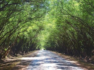 Explorar las tierras del corazón sudamericano, una opción ideal para vacacionar