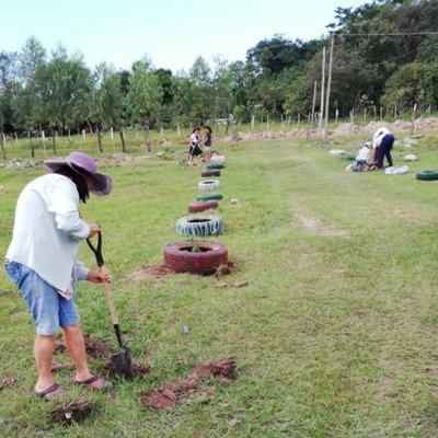 Instan a plantar árboles en su día