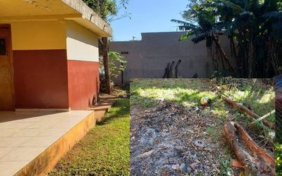 Detectan quema de medicamentos en dispensario de CDE