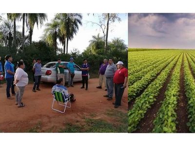 San Juan Bautista: Vecinos se oponen a la plantación de soja