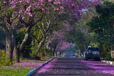 Invierno ofrece un sábado caluroso
