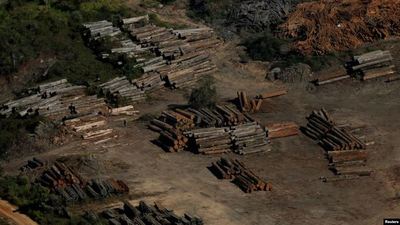 Deforestación en Brasil aumenta en más de 88% bajo el gobierno de Bolsonaro