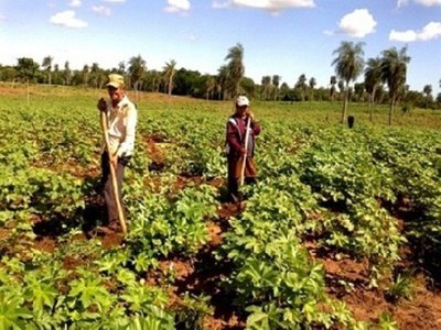 CAH impulsa reestructuración de deudas al sector campesino
