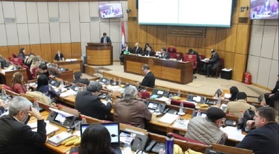 Senado aprueba proyecto de ley 'Ñane Energía'