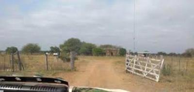 Investigarán responsabilidad de Senacsa en robo de animales de estancia Taguató