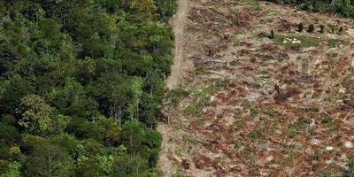 Deforestación del Amazonas creció 88 %, pero Bolsonaro no cree