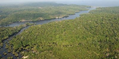 Supervisor de deforestación en Brasil anuncia su destitución tras polémica con Bolsonaro
