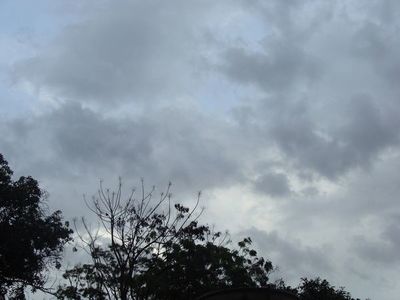 Meteorología anuncia viernes fresco y con precipitaciones dispersas