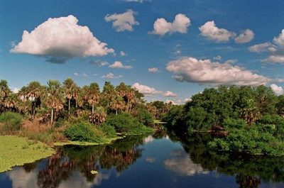 Buscan que el pantanal paraguayo sea elevado a patrimonio de la humanidad