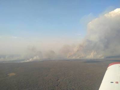 Logran controlar incendio en el Pantanal paraguayo; reserva “Los Tres Gigantes” fue arrasada