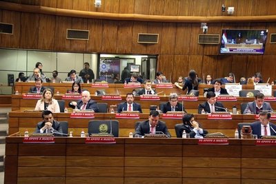 Juicio político: “No hubo daño patrimonial ni delito y el presidente destituyó a los responsables”, argumentan diputados colorados