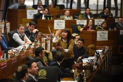 Juicio político no está enterrado, afirma diputada Amarilla