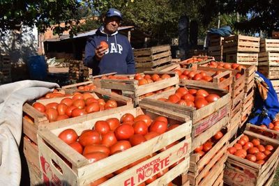 Ofrecen tomate a G. 3.000, en varios puntos