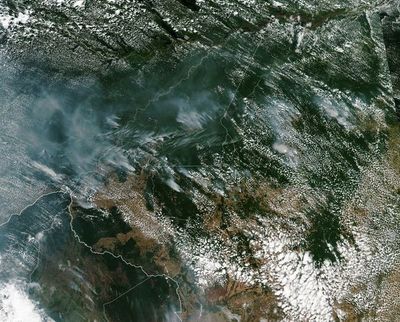 Amazonia brasileña sufre los peores incendios forestales de los últimos años