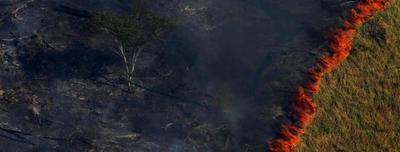 Resumen visual de los incendios que avanzan sin control en la Amazonia