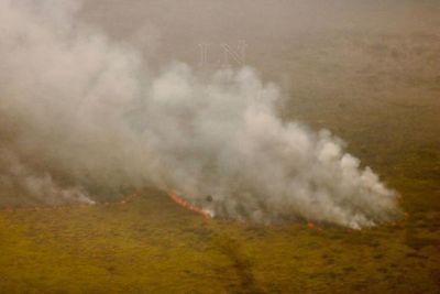 Fuego ya consumió cerca de 40 mil hectáreas en zona del Pantanal paraguayo