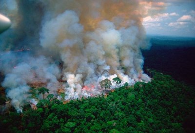 Macron tilda de “crisis internacional” a los incendios de la Amazonia