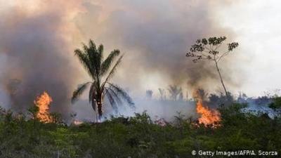 Incendios en el Amazonas: Irlanda amenaza al acuerdo UE