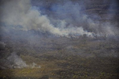 Paraguay perdió 22 millones de hectáreas de su vegetación a causa del incendio en 19 años